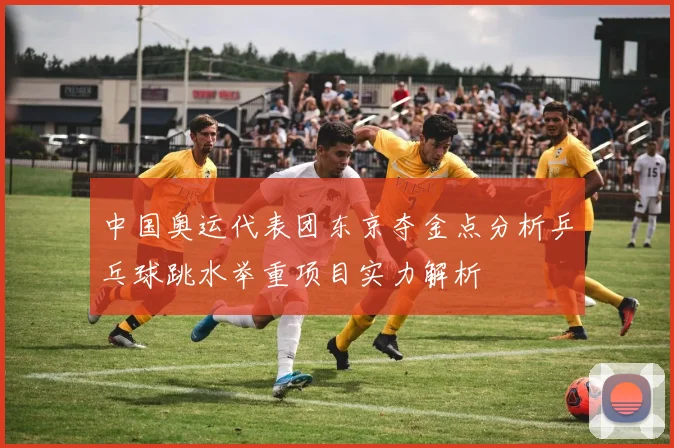 中国奥运代表团东京夺金点分析乒乓球跳水举重项目实力解析
